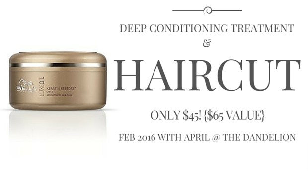 Haircut &amp;Deep Conditioning Treatment-2